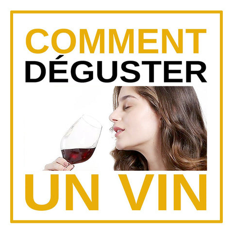 Como degustar um vinho